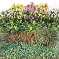 Diverse Flower Garden With Colorful Blooms Green Foliage And Various Plant Species Mix