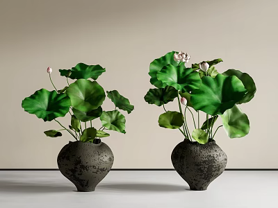 Chinese Lotus Tank Ancient Method Fish Tank Water Bowl Water Tank Water Landscape Aquatic Plants Courtyard Sick 3d model
