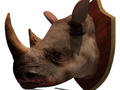 Realistic Rhino Head Mounted With Decorative Wooden Shield Animal Wall Decor 3d model