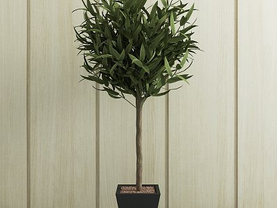 Modern potted green plant model