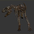 Modern Fossil Dinosaur Skeleton 3d model