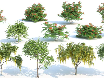 Diverse Ornamental Arbor Trees With Green Leaves Red Blossoms And Hanging Branches 3d model
