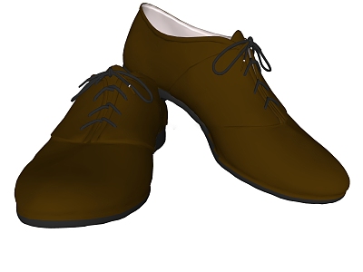 Modern Leather Shoes model