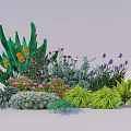 Colorful Garden Flowers with Large Green Leaves Purple Pink Yellow Blooms and Greenery Plants