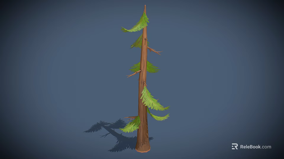 Tall Slim Evergreen Pine Tree With Green Needles Brown Trunk And Branches 3d model 