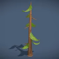 Tall Slim Evergreen Pine Tree With Green Needles Brown Trunk And Branches