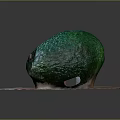 Ripe Fresh Green Avocado With Rough Texture On Wooden Cutting Board