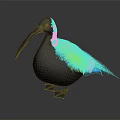 Glossy Black Bird With Long Beak And Blue Gradient Wings