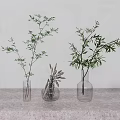 Glass Vases with Green Foliage Arrangement on Gray Countertop Against Light Wall