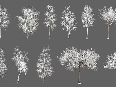 Arbor Trees Of Various Types Showing Distinct Trunk Shapes And Branch Structures 3d model