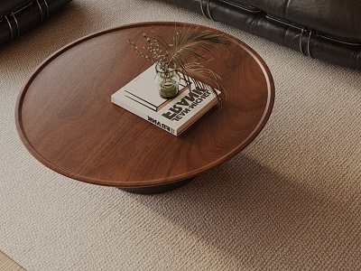 Modern coffee table model