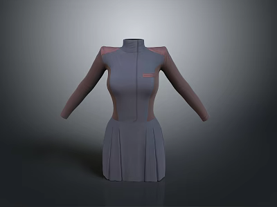 Gray Long Sleeved High Neck Dress With Color Block Design And Pleated Skirt 3d model