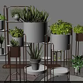 Bonsai Potted Plants Display On Multi Tiered Metal Stands With White And Copper Pots