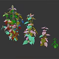 Plants of Different Sizes With Green Leaves and Purple Small Flowers on Dark Background