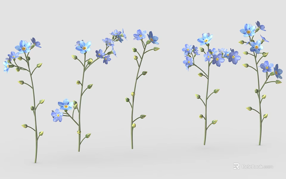 Small Blue Flowers With Green Leaves On Stems Arranged In A Row 3d model 