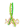 Biological Organization System 3D DNA Double Helix Structure Model With Green Yellow Red Molecular Parts