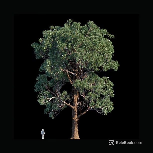 Tall Arbor With Lush Green Foliage And Thick Trunk In Natural Environment 3d model 