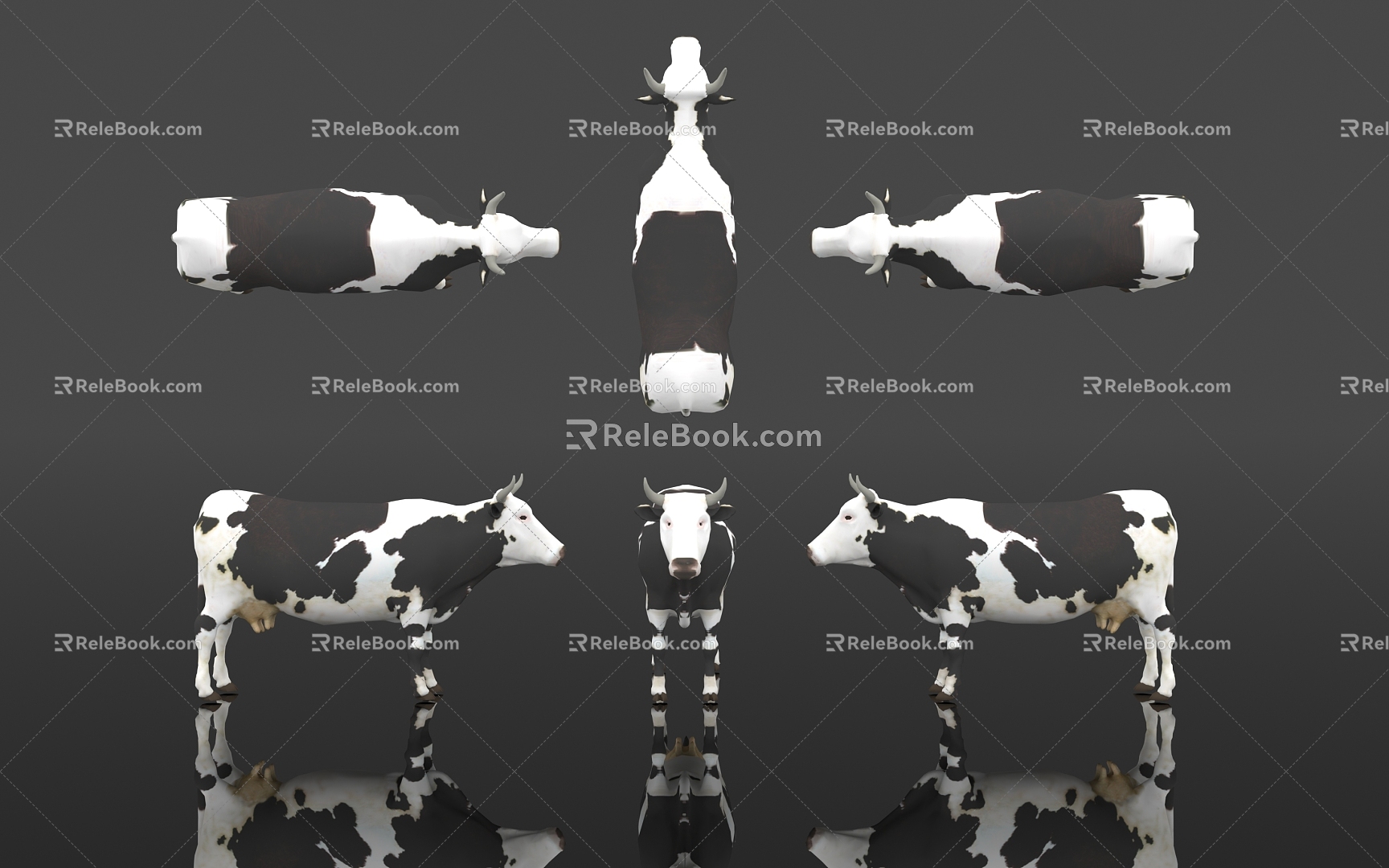 Dairy Cow Holstein Cow Gen Sai Cow Elxia Cattle Animal Kingdom Bovine Livestock Animal Husbandry Specimen Terrestrial Biology Exhibition Popular Science Biology Museum 3d model