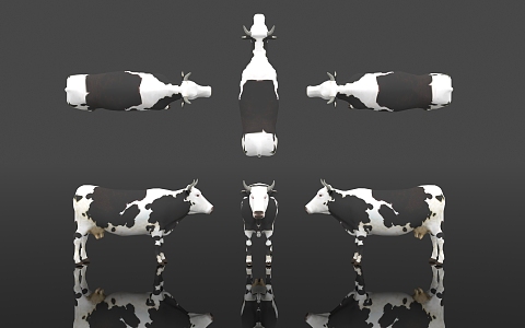 Dairy Cow Holstein Cow Gen Sai Cow Elxia Cattle Animal Kingdom Bovine Livestock Animal Husbandry Specimen Terrestrial Biology Exhibition Popular Science Biology Museum 3d model