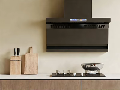 Modern Kitchen Range Hood And Gas Stove With Wooden Cabinets And Countertop 3d model