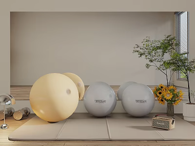 Home Sports Equipment With Yellow Grey Yoga Balls Dumbbells Yoga Mat And Plants By Window 3d model