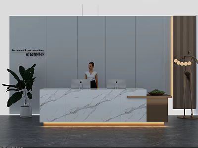 Modern Reception Area With Marble Desk Receptionist Gray Wall Green Plant Brand Signage And Lighting 3d model