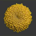 Vibrant Yellow Marigold Flower With Layered Petals And Green Stem On Dark Background