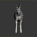 Standing Zebra With Black And White Stripes On Gray Background With Ground Reflection 3d model