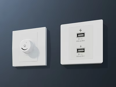 Modern White Switch Panels With Knob Control And Dual USB Ports 2.4A 1.0A 3d model