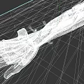 Detailed Arm Wrist And Hand Anatomical Structure With Muscles And Ligaments
