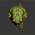 Frog Poison Frog Game Frog Reptile Cold Blooded Animal Reptile 3d model