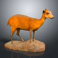 Stuffed Orange Antelope Taxidermy Display on Rock Base with Dark Background