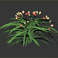 Lush Green Plant With Long Leaves And Clusters Of Small Yellow Red Flowers