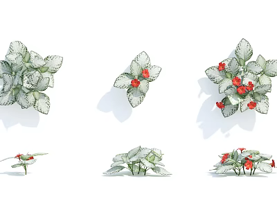 modern plant shrub 3d model