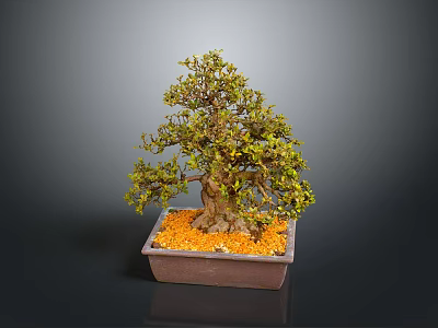 Bonsai Tree With Green Leaves And Brown Trunk In Square Ceramic Pot With Orange Pebbles 3d model