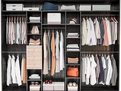 Organized Wardrobe Interior With Hanging Clothes Folded Garments Drawers Storage Boxes And Shoes 3d model