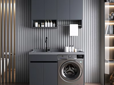 Modern Home Balcony With Dark Gray Cabinets Washing Machine Sink And Vertical Striped Wall 3d model