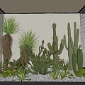 Succulent Plants Interior Design With Cactus Agave Glass Block Wall White Wall And Gravel