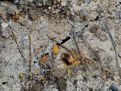 Natural Outdoor Ground Surface with Soil Stones Dry Twigs and Fallen Leaves 3d model