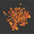 Tree With Orange Red Leaves And Scattered Fallen Leaves On Gray Background 3d model
