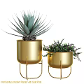 Modern Decorative Ornament Set with Golden Metal Stand Pots Green Plants and Purple Flowers