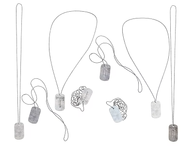 Unique Jewelry Collection Featuring Pendant Necklaces With Chain And Various Shaped Charms 3d model