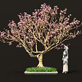 Elegant Bonsai Tree With Pink Flowers Green Grass And Purple Small Flowers