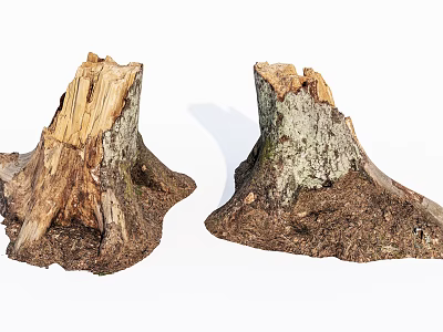 Natural Stone Wood Tree Stumps With Rough Bark And Earthy Texture Details 3d model