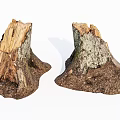 Natural Stone Wood Tree Stumps With Rough Bark And Earthy Texture Details