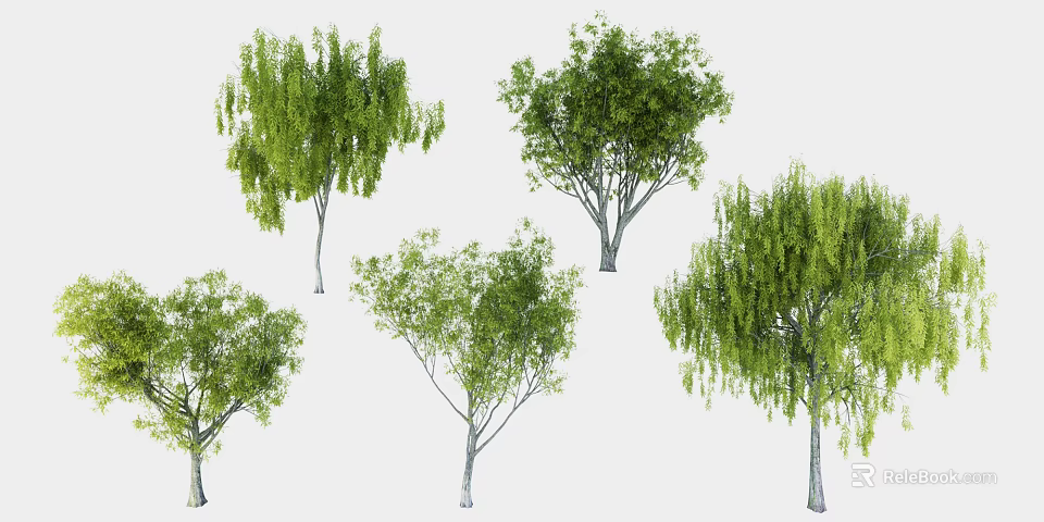 Various Types of Green Leafy Trees with Different Canopy Shapes and Foliage 3d model 