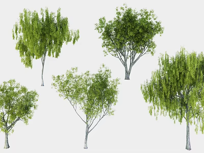 Various Types of Green Leafy Trees with Different Canopy Shapes and Foliage 3d model