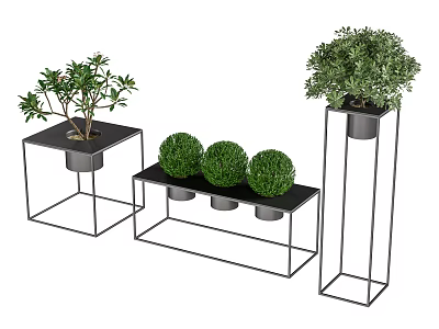 Decorative Bonsai Plants on Black Metal Stands Square Rectangular with Flowering and Round Bush Types 3d model