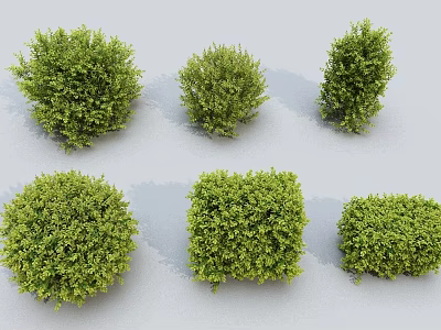 Green Shrubs In Various Trimmed Shapes For Garden Landscaping And Decoration 3d model