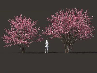 Two Beautiful Blooming Shrubs with Pink Flowers and a White Figure Standing 3d model